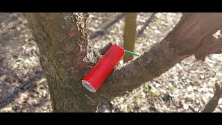 Test CRACKER(EK6207)ENIGMA 5 GRAME
