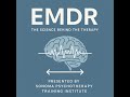 Episode 3 - Ending Suicidal Intrusions