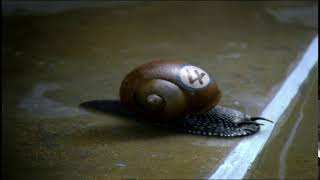 Guinness Extra Cold - Snail (2004, UK)