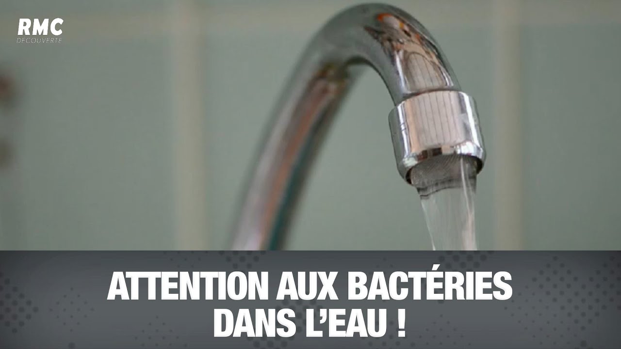 Attention aux bactéries que l'on trouve dans l'eau ! - YouTube