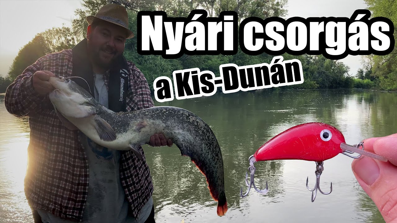 Nyári csorgás a Kis-Dunán - Dimakfishing 32.rész