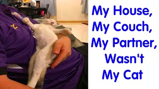 Hilariously Unexpected “My House, Not My Cat” Moments - funny cats