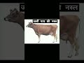 @agriculturewalabanda