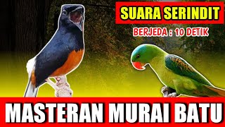 MASTERAN MURAI BATU - suara Serindit gacor Nembak jernih keras berjeda 10 detik untuk variasiplayist