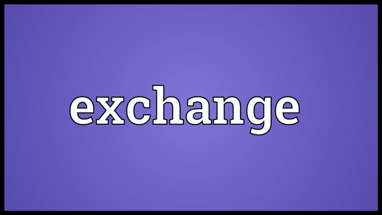 visit exchange meaning