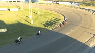 Vidéo de la course PMU PRIX LATINUS