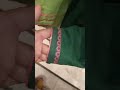 shalwar Capri trouser pajama poncha design by seam way