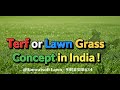 Terf or Lawn Grass Concept in India ! Small Scale Lawn or Terf Farming in India