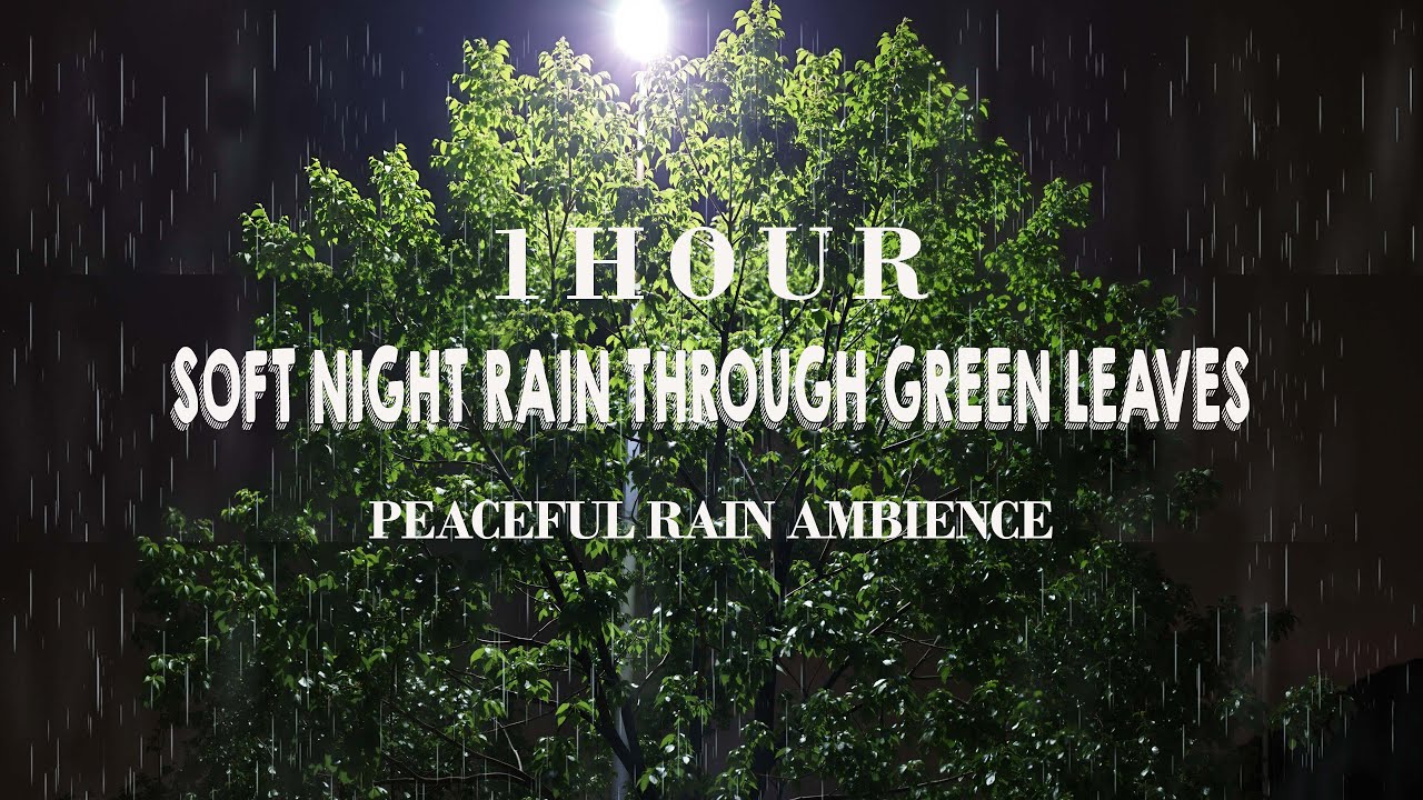 Gentle Night Rain on Green Leaves Under Soft Light | Calm Rain Sounds for Deep Rest