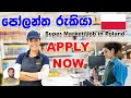 Supermarket Jobs in Poland | Poland job vacancy 2021 | Poland Warehouse Jobs | Poland Job | SL TO UK