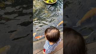 Download Lagu Eksplorasi hari ini: Kenalan sama penghuni kolam. Matanya nggak bisa lepas dari warna-warninya MP3