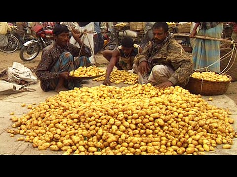 বগুড়ার সবজি হাট | FAMOUS VEGETABLE MARKET AT BOGRA