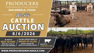 8/6/2026 - Cattle Auction - Producers Livestock Auction Company