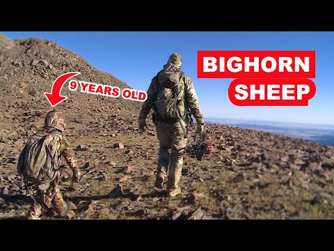Bighorn Sheep Hunting in Colorado with a 9 Year Old