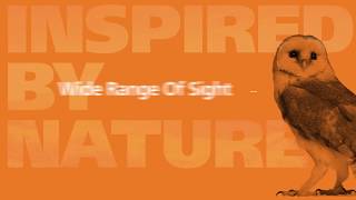 Superb Digital Radiography Mobile Performance: Wide Range of Sight