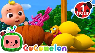 Where is the Yellow Itsy Bitsy Spider Hiding? | 1 Hour of CoComelon Animal Time Nursery Rhymes