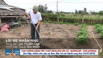 🎵 THÁNH CA LCTX: LỜI MẸ NHẮN NHỦ - CS. TÂM ĐOAN | Cha Phêrô Nguyễn Văn Tường
