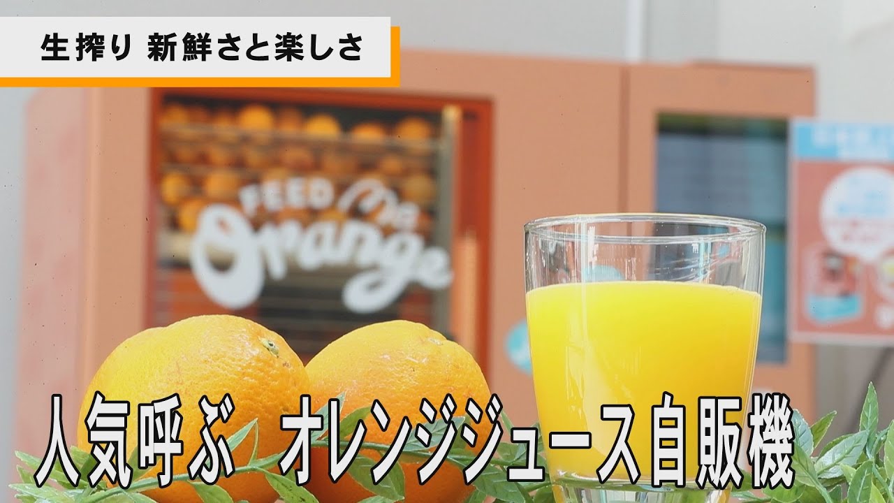 生搾り〟新鮮さと楽しさ 人気呼ぶ オレンジジュース自販機 - YouTube