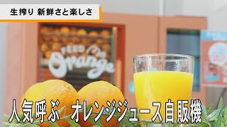 〝生搾り〟新鮮さと楽しさ　人気呼ぶ　オレンジジュース自販機