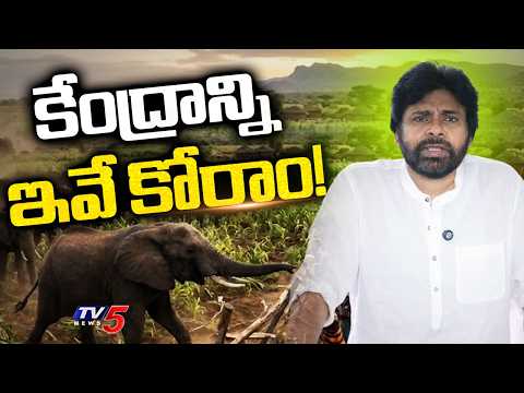 కేంద్రాన్ని ఇవే కోరాం!..AP Deputy CM Pawan Kalyan Press Meet After Meeting With Central Ministers - TV5NEWS