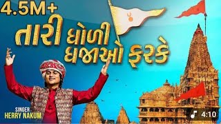 Tari Dholi Dhaja Farke  Herry Nakum  New Gujarati Song 2025ishvadobariya9823