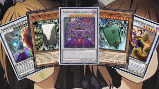 My Flower Cardian Yugioh Deck Profile for June 2026