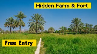 Free Entry To This Hidden Farm & Fort In Ajman