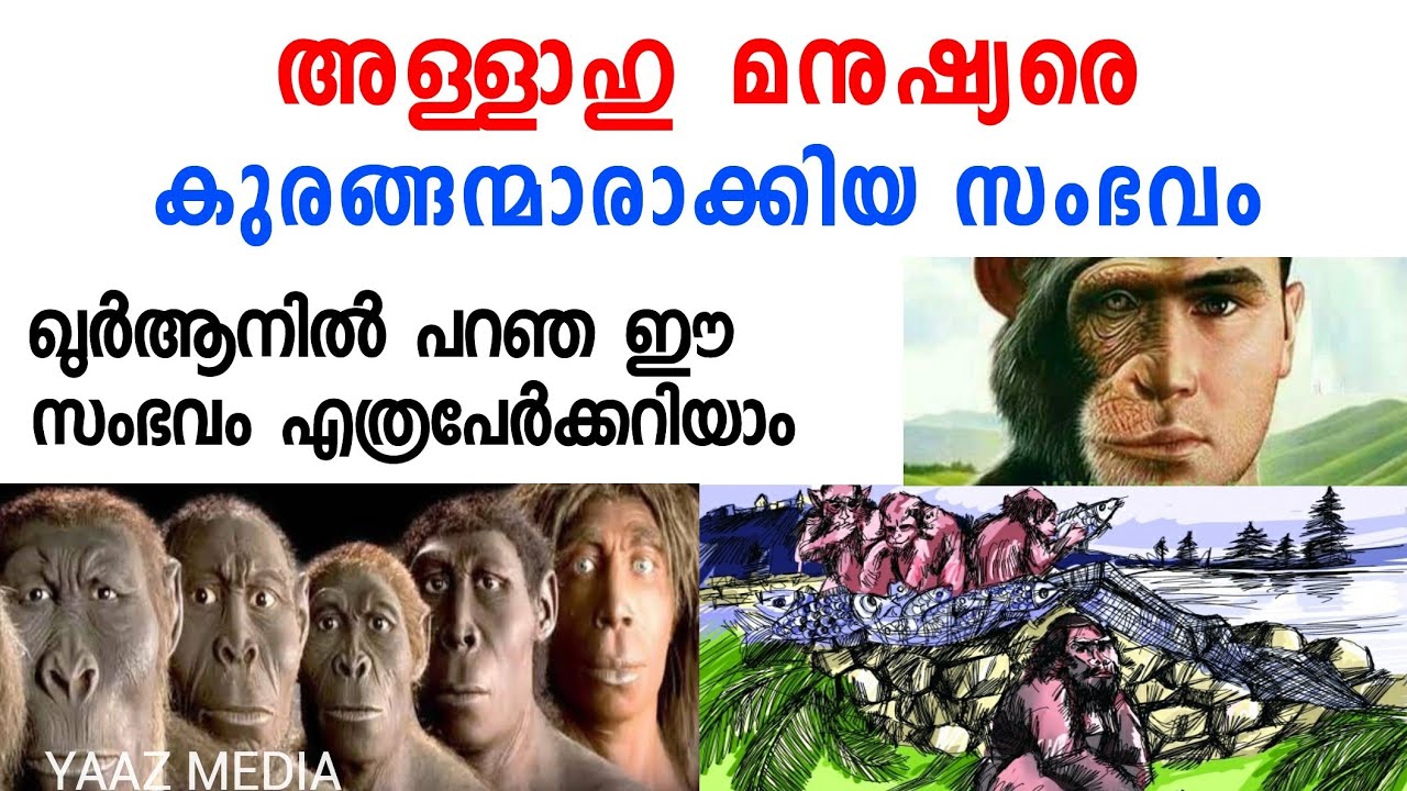 മനുഷ്യന്മാരെ കുരങ്ങന്മാരായി കോലം മറിക്കപ്പെട്ട സംഭവം, ഐലത്ത് ജനതക്ക് വന്ന ശിക്ഷ, സമ്പത്ത് നാളിൽചെയ്ത
