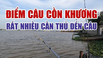ĐIỂM CÂU TÔM VÀ CÁ Ở CỒN KHƯƠNG RẤT NHIỀU CẦN THỦ CÂU