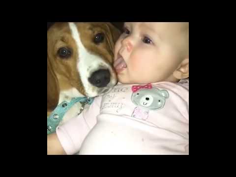 Cute Baby And Dog Lick Each Other In The Mouth Shorts Playlist Fun Happy Videos