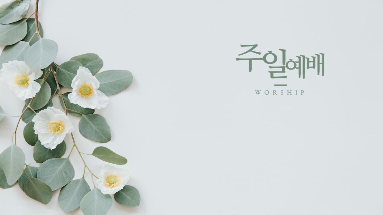 2026.02.22 주일오전 