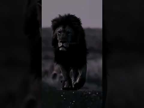 إصنع من نفسك شخصا يحبه الله لا يحبه البشر