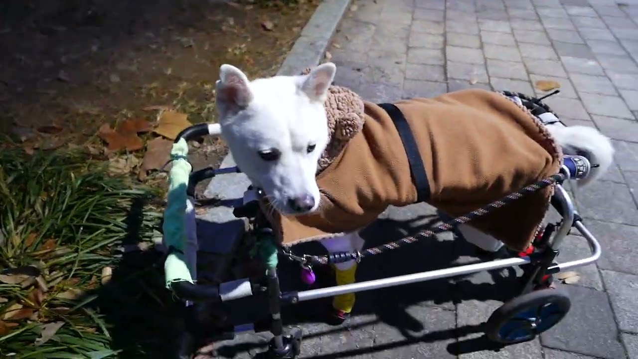 20251201 햇반산책 