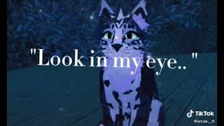 Warrior Cats Ultimate Edition Tik Tok Compilation (WCUE): Extra Long // Late 50 Sub Special // DESC!
