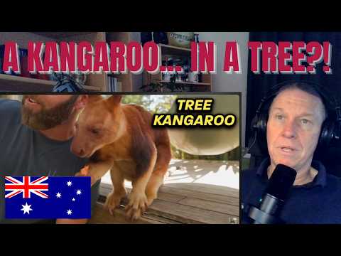 Private Tour of Australia's Craziest Zoo (Meet the Tree Kangaroo) | Dutch Reaction