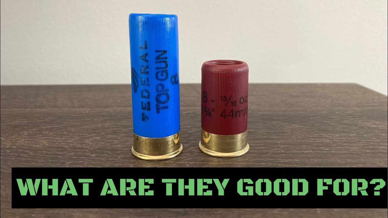 Mini Test Shells THE GOOD AND BAD ABOUT MINI-SHELLS - YouTube