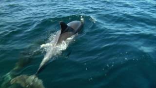 KinoweltTV Trailer - 'Relevantes Kino' 27. bis 30. Juni 2017 KinoweltTV Trailer - 'Relevantes Kino' 27. bis 30. Juni 2017