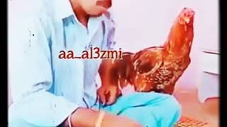 Yanga Hali Mbaya Yala Ugali Kwa Harufu Ya Nyama