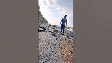 We opened this block of Jurassic shale while hunting for fossils on the beach! 🐬