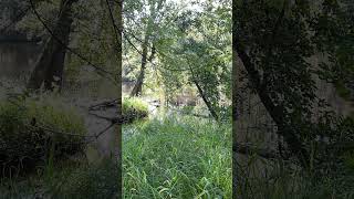 Coffee Break Express A Misunderstood And Misapplied Verse Of Scripture.