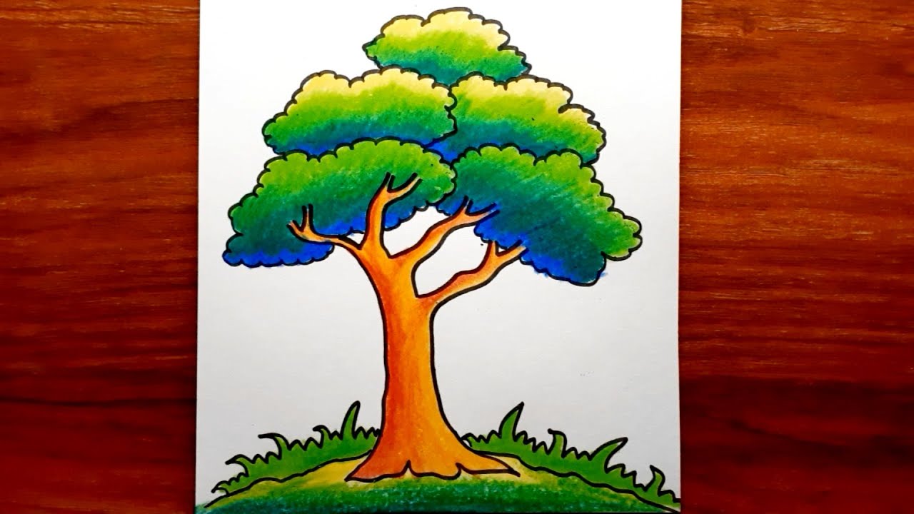 Top 999+ tree drawing images with colour – Amazing Collection tree drawing images with colour Full 4K