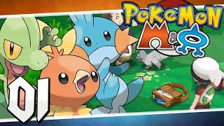 Starting new journey with treecko(pokemon omega ruby ep1)