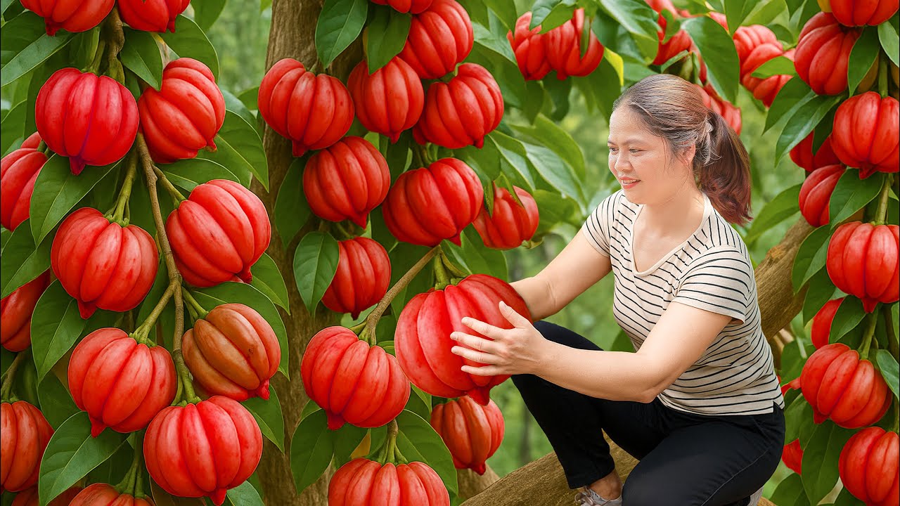 Harvesting Rare Red Elephant Apple & Making Banana Turtle Meat Cake – SOLD OUT in Minutes!