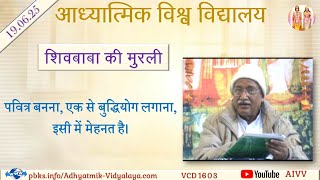 AIVV ll शिवबाबा की मुरली ll Shivbaba ki murli VCD 1603 #aivv @A1SPIRITUALUNIVERSITY