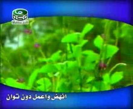 cennet kuşları nasheed ilahi  Bismilrahmani arabic children