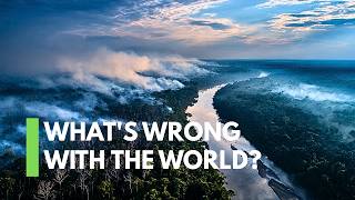 Amazon Rainforest: what happens to the world if it dies?