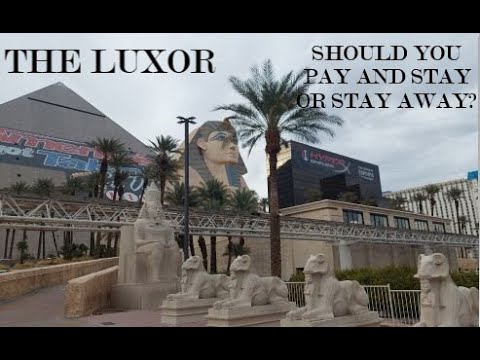 Elvis Presley - Viva Las Vegas (4k)