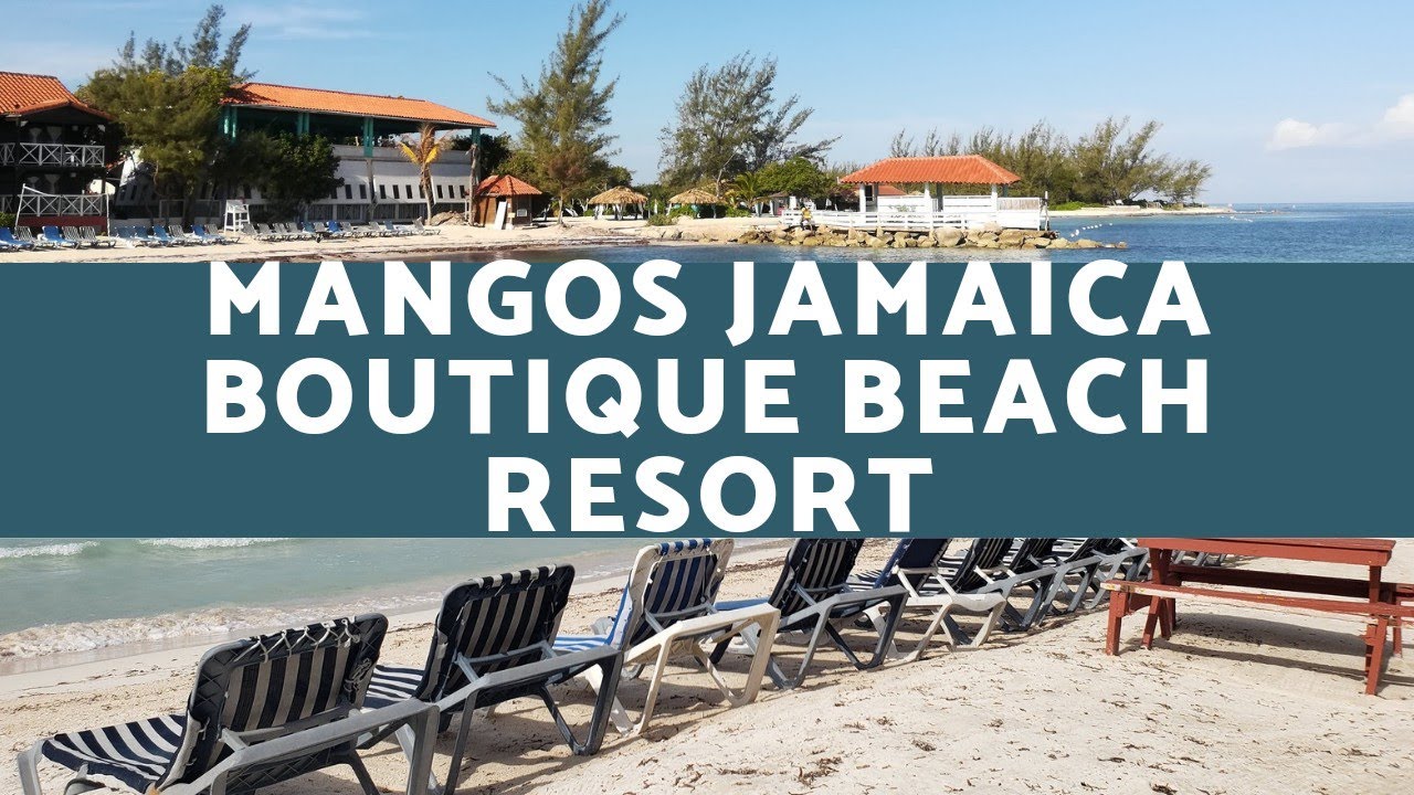 Mangos Jamaica Boutique Beach Resort Jamaica Travel Vlog Jamaican