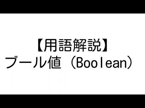 ブール値とは？【やさしいプログラミング用語解説】