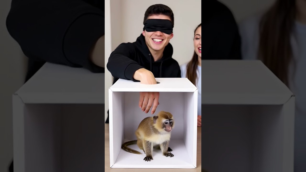 Веселитесь с обезьянкой!